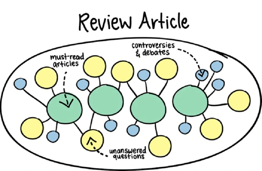 Article Review