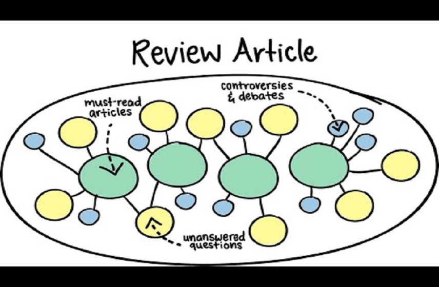 Article Review
